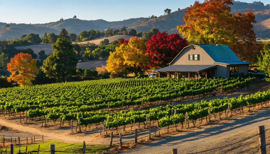 A charming, boutique winery in Glen Ellen set among colorful vineyards, featuring a rustic tasting room inviting visitors for a memorable wine experience.