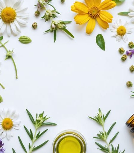 Assortment of fresh calendula flowers, green tea leaves, chamomile, aloe vera, and glass jars of natural oils illustrating a harmonious plant-based skincare theme.