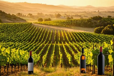 An atmospheric illustration of American wine country, featuring sunlit vineyards, diverse wine bottles, and a golden sunset, symbolizing the rich tradition and innovation in U.S. winemaking.