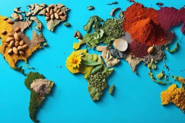 Conceptual image of a world map with spice blends, illustrating Moroccan ras el hanout, Japanese shichimi togarashi, Ethiopian berbere, Indian garam masala, and French Herbs de Provence over their respective regions, highlighted with colorful spices.