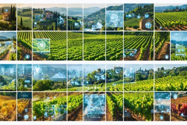 A collage of vineyards from Tuscany, Napa Valley, and the Loire Valley, showcasing diverse landscapes and grape varieties with an overlay symbolizing modern wine-making innovation.