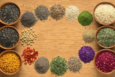 An artistic arrangement of chia, flax, pumpkin, and hemp seeds in colorful bowls on a wooden surface, depicting their nutritional benefits.