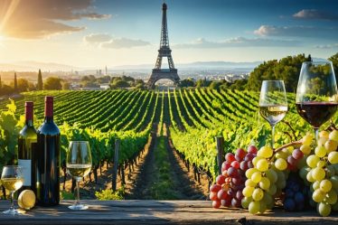An illustration combining California vineyards and Paris landmarks, representing the global impact and connection forged by the Judgment of Paris wine tasting event.