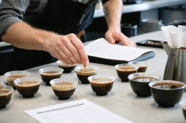 A professional Q Grader deeply focused on evaluating multiple coffee samples during a well-structured cupping session, surrounded by various cups and official scoring sheets.