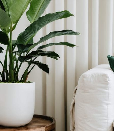 Modern living room with a ZZ plant in a sleek white ceramic pot on a wooden side table, showcasing its glossy dark green leaves and complementing the room's contemporary design.
