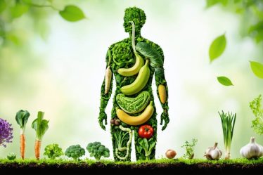 Conceptual illustration of a human silhouette with an internal garden representing prebiotic foods like chicory roots and bananas feeding gut bacteria, showcasing the relationship between prebiotic fiber and gut health.